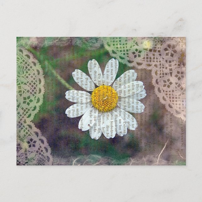 Carte Postale Joli comme une marguerite (Devant)