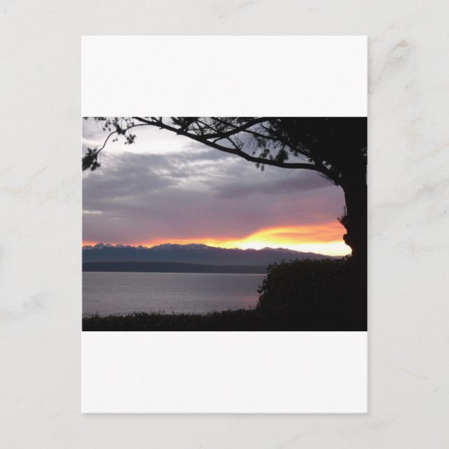 Carte Postale Joli coucher de soleil pittoresque (Devant)
