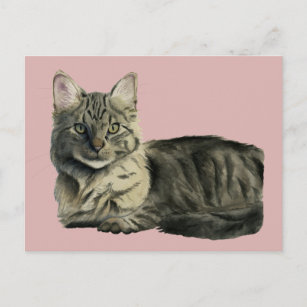 Carte Postale Joli Domestique Moyen Cheveux Kitty Chat Aquarelle