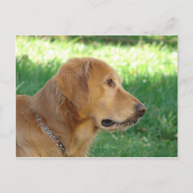 Carte Postale Joli garçon (Devant)