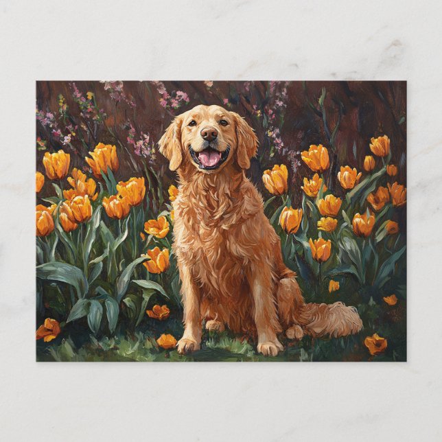 Carte Postale Joli Golden Retriever dans un jardin de tulipes (Devant)