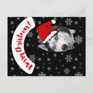 Carte Postale joli Husky de Noël souriant avec un chapeau rouge