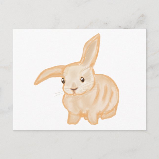 Carte Postale Joli lapin lapin Brown - transparent sur blanc. (Devant)
