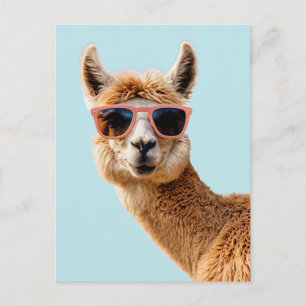 Carte Postale Joli Lllama Avec Lunettes De Soleil Sur