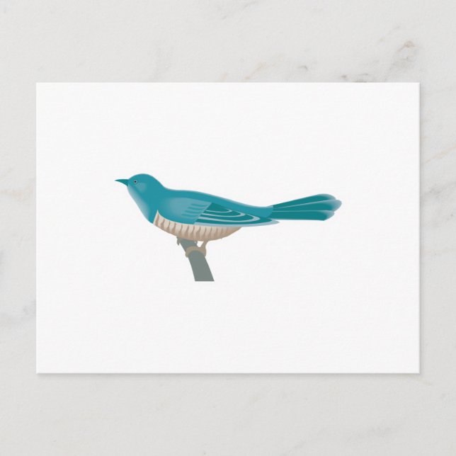 Carte Postale joli oiseau coucou (Devant)
