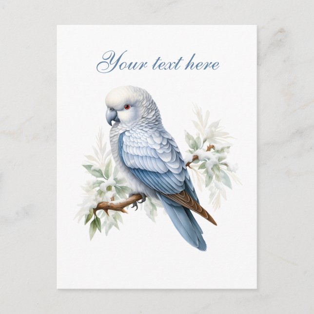 Carte Postale Joli oiseau d'hiver saisonnier ajouter du texte (Devant)