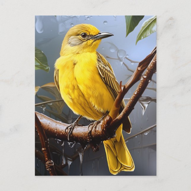 Carte Postale Joli oiseau jaune (Devant)