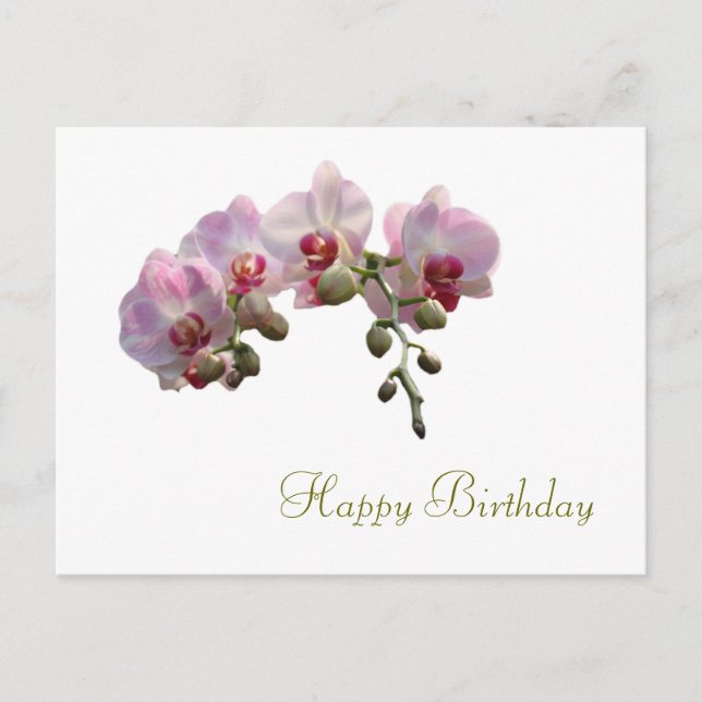 Carte Postale joli orchidée rose fleurs heureux anniversaire (Devant)