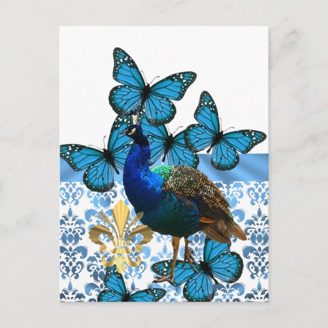 Carte Postale Joli paon et papillons bleus (Devant)