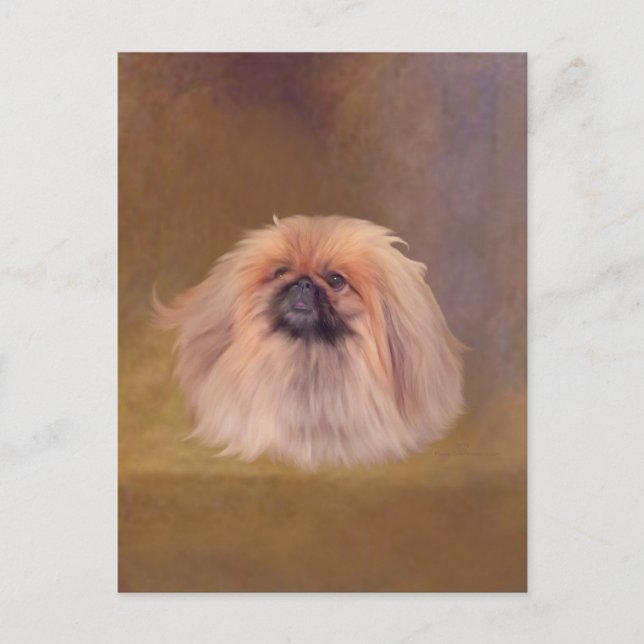 Carte Postale Joli Pekingese (Devant)