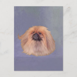 Carte Postale Joli Pekingese