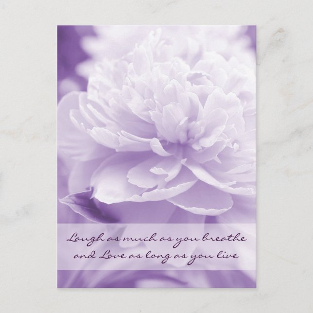 Carte Postale Joli Peony Violet (Devant)