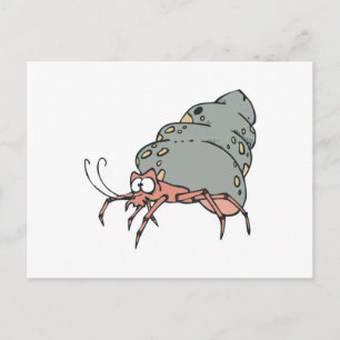 Carte Postale joli petit crabe ermite