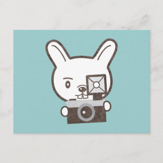 Carte Postale Joli photographe Rabbit