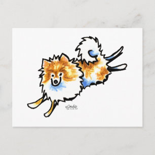 Carte Postale Joli Pomeranian Orange Blanc