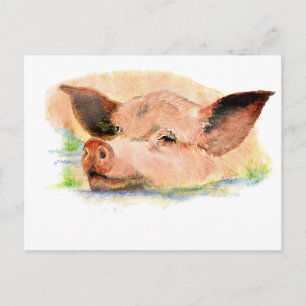 Carte Postale Joli porc dans la boue, animal de ferme, Humour