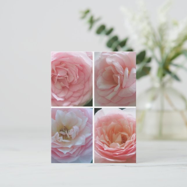 Carte Postale Joli Rose (Debout devant)