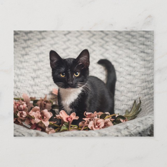Carte Postale Joli Rose Bella (Devant)