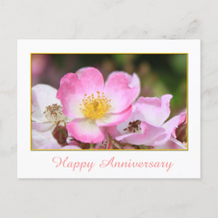 Carte Postale joli rose rose sauvage fleur heureux anniversaire