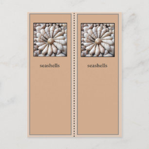 Carte Postale Joli Signet Sea Shells