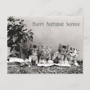 Carte Postale Jolie drôle vintage fête d'anniversaire de chat pi