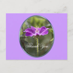 Carte Postale Jolie et élégante fleur de jardin pourpre merci