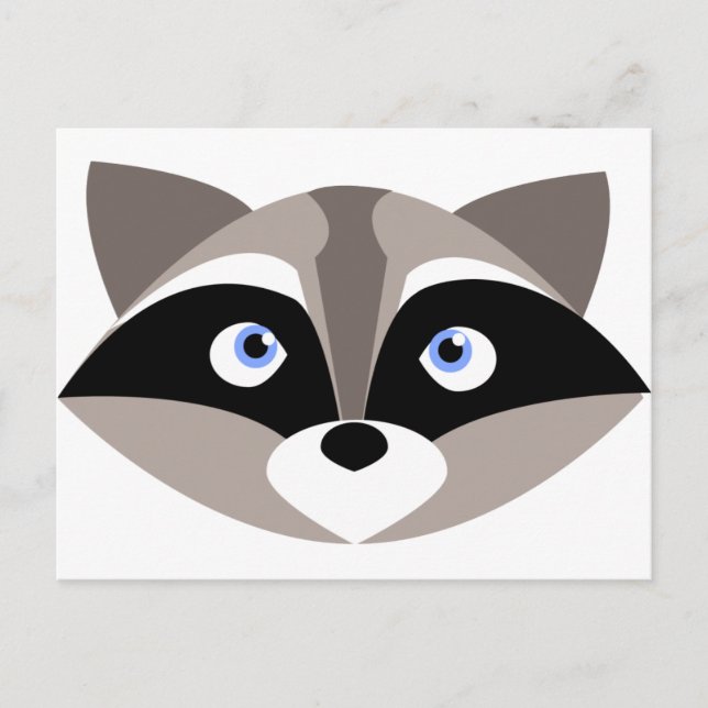 Carte Postale Jolie face Raccoon (Devant)