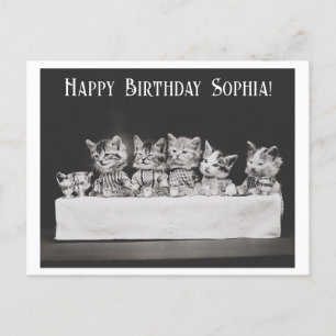 Carte Postale Jolie fête d'anniversaire vintage pour chat avec t