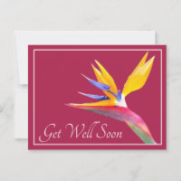 Jolie Fleur d'Oiseau de Paradis Fond Rose Prompt r