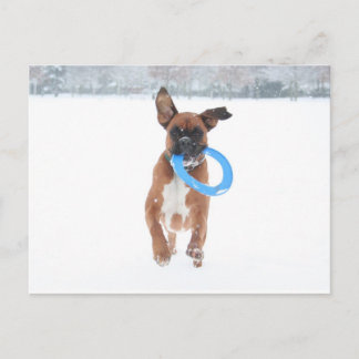 Carte Postale Jolie jouant au frizbee dans la neige