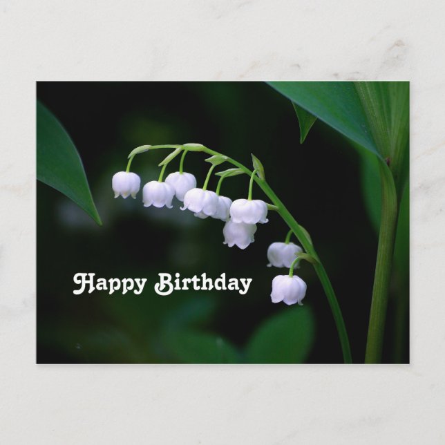 Carte Postale Jolie lis blanc de muguet floral d'anniversaire (Devant)
