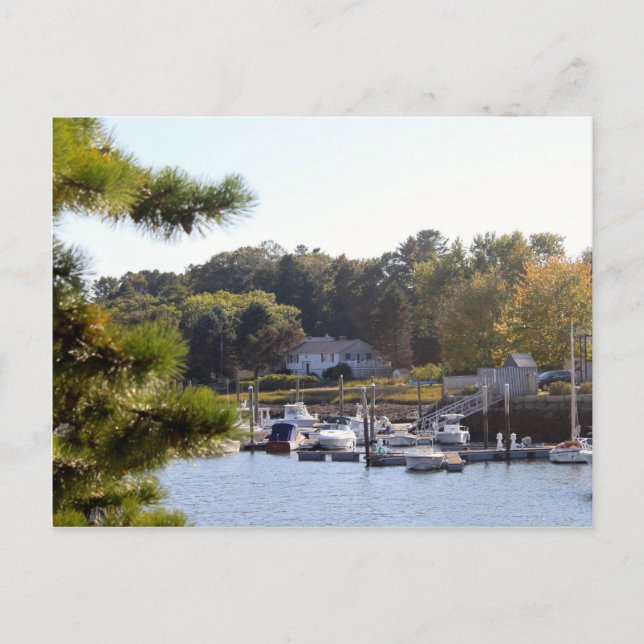 Carte Postale Jolie Marina de bateau bleu (Devant)