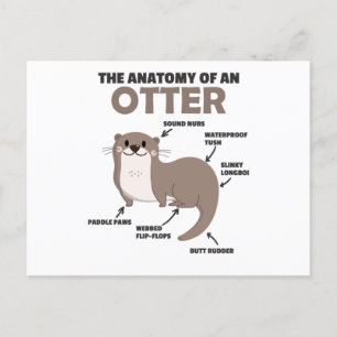 Carte Postale Jolie Otter Explication Anatomie D'Une Otter