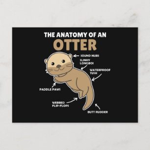 Carte Postale Jolie Otter Explication Anatomie D'Une Otter