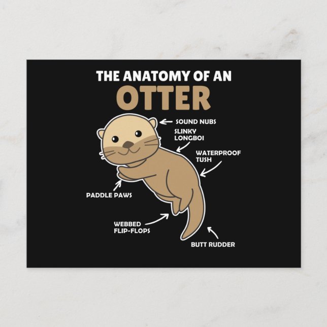 Carte Postale Jolie Otter Explication Anatomie D'Une Otter (Devant)