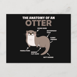 Carte Postale Jolie Otter Explication Anatomie D'Une Otter