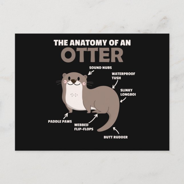 Carte Postale Jolie Otter Explication Anatomie D'Une Otter (Devant)