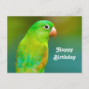 Carte Postale Jolie Photo d'Anniversaire de Perroquet Vert
