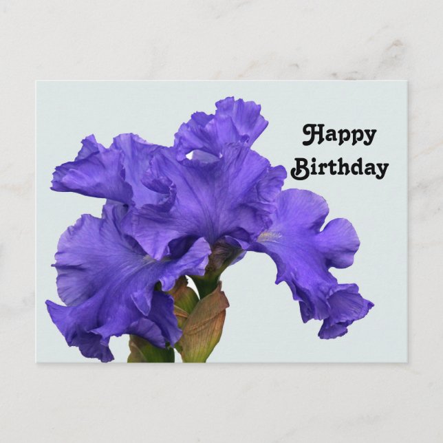 Carte Postale Jolie photo de fleurs d'iris violettes pour annive (Devant)