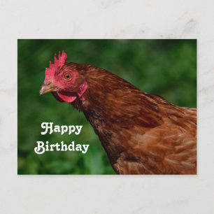 Carte Postale Jolie Photo de Visage de Poulet Rouge pour Anniver