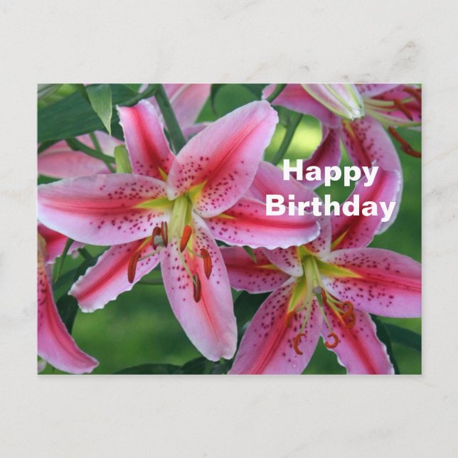 Carte Postale Jolie Photo Floral de Lys Rose pour Anniversaire (Devant)