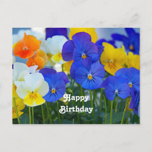 Carte Postale Jolie Photo Floral de pensées violettes pour anniv
