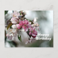 Jolie Photo Florale de Pomme Rose pour Anniversair