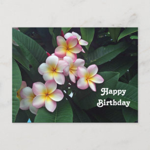 Carte Postale Jolie Plumeria Florale Rose et Jaune Anniversaire