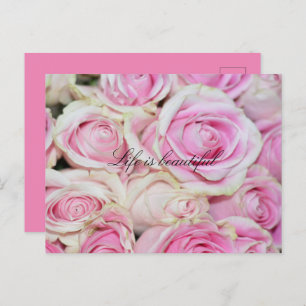Carte Postale Jolie Roses Blanches Roses Roses Roses Roses Rose