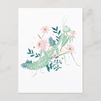 CARTE POSTALE JOLIE SAUTERELLE