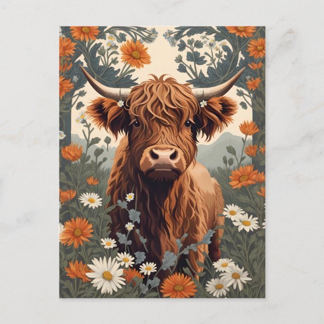 Carte Postale Jolie vache Highland vintage  (Devant)