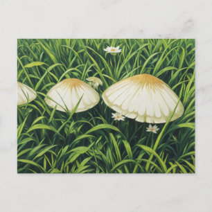 Carte Postale Jolies champignons
