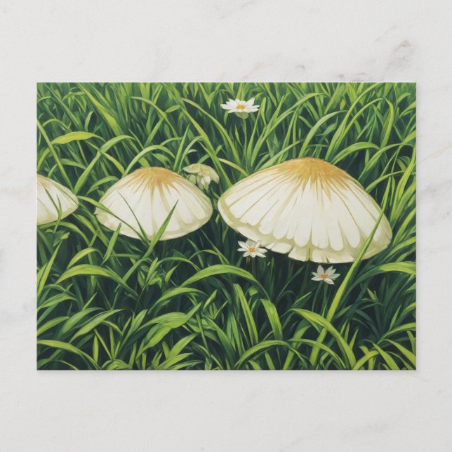 Carte Postale Jolies champignons (Devant)