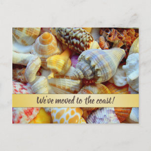 Carte Postale Jolies Coquilles Annonce d'Adresse Côtière Nouvell